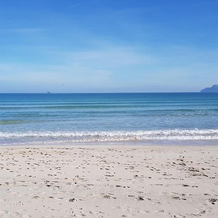 Ideal Property Mallorca - Cittadini 37 阿尔库迪亚 外观 照片