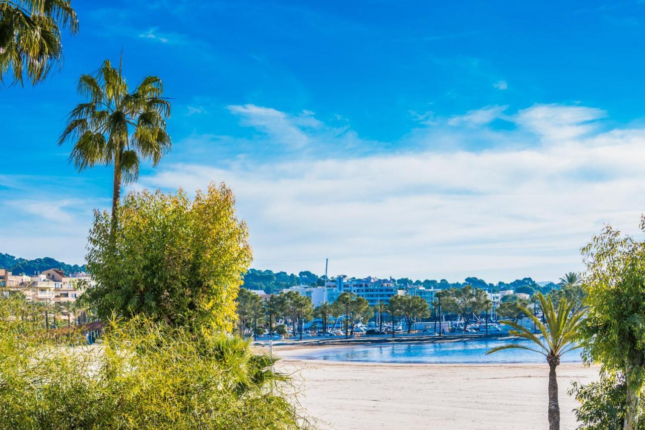 Ideal Property Mallorca - Cittadini 37 阿尔库迪亚 外观 照片