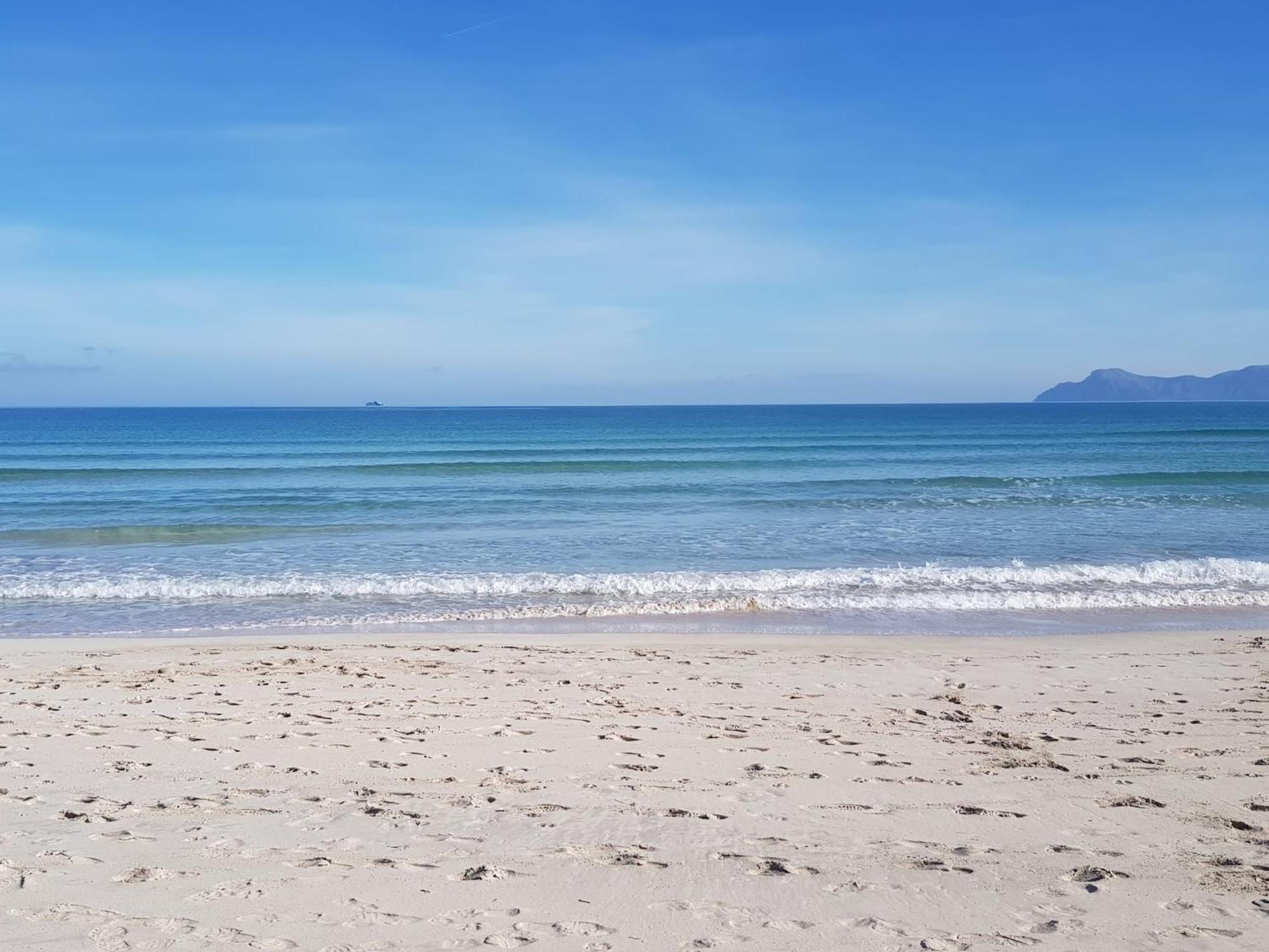 Ideal Property Mallorca - Cittadini 37 阿尔库迪亚 外观 照片